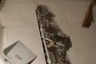 江门市卫生间漏水检测电话